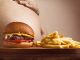 What is obesity, causes, its effects and how to prevent it